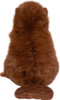 Bev Beaver 5
