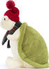 Snowman Timmy Turtle 2