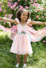 Sequins Secret Butterfly Twirl Dress With Wings