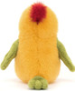 Budgeby Parrot 4