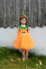 Pumpkin Patch Princess Dress (Size 2T) 2