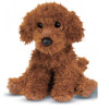 Ginger Miniature Poodle
