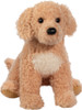 Noodle Goldendoodle 1