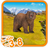 Grizzly Bear 4
