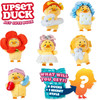 Upset Duck Cute