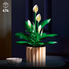 LEGO Botanicals: Peace Lily 3