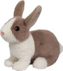 Daffodil Dutch Bunny 1