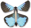 Wind up Australian Butterflies 1