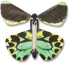 Wind up Australian Butterflies 4
