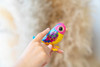DigiBirds - Single Pack Asst 2