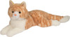Mango Orange Cat 1