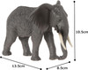 African Elephant