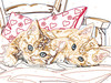 Two Cuddly Cats Creart
