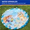 Swimways Bluey Splash Mat