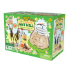 Ant Hill With Prepaid Voucher For Ants