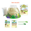Ant Hill With Prepaid Voucher For Ants