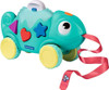 Color & Shape Sorter: Chameleon* 3