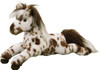Duke Appaloosa Horse 1