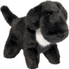 Linda Lab Muzzle 1