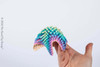 Floppy Starfish Fidget 4