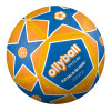 Ollyball Ace Soccer And Volleyball