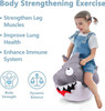 Bouncy Shark