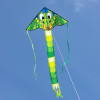 Dragon Simple Flyer