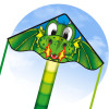 Dragon Simple Flyer