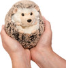 Spunky Hedgehog, Small 1