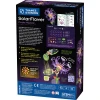 Purple Majestic Solar Flower