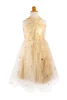 Silver And Gold Eras Dress Size 3-4