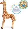 Jani Savannah Giraffe 52 Inch