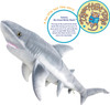 Sammy Shark