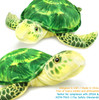 Olivia Hawksbill Turtle
