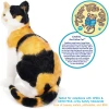 Catalina The Calico Cat
