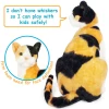 Catalina The Calico Cat