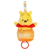 Winnie The Pooh Pull Down Ziggle Toy