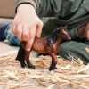 North Swedish Cold Blooded Mare