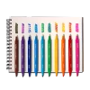Switcheroo Color Changing Activity Kit