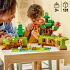 LEGO® DUPLO® Discovery Forest with Wild Animals 4