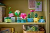 LEGO® Botanicals Water Lilies 5