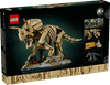 Dinosaur Fossils Triceratops