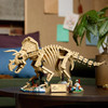 LEGO® Jurassic World Dinosaur Fossils: Triceratops 5