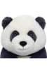 Smiling Panda Momo Bear