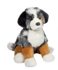 Aspen Australian Shephard