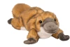 Duckie Platypus Softie