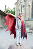 Web Weaver Soft Wings (Size 4-6) 2