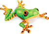 Real Planet Tree Frog