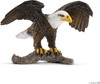 Bald Eagle 1