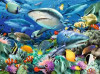 Shark Reef 100pc Puzzle